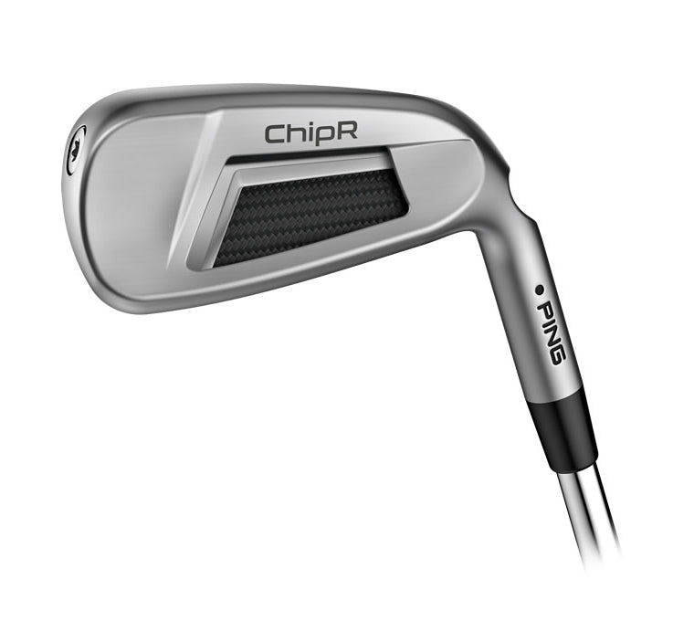 PING ChipR **CALL TO ORDER**